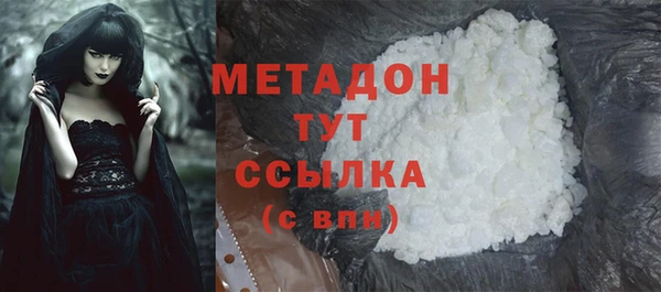 хмурый Аркадак