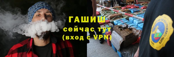 хмурый Аркадак