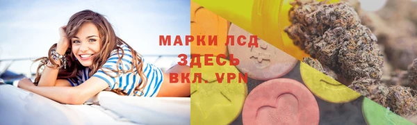 хмурый Аркадак