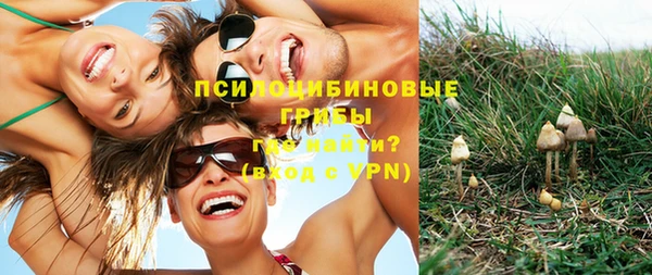 ГАЛЛЮЦИНОГЕННЫЕ ГРИБЫ Арсеньев