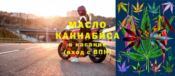 хмурый Аркадак