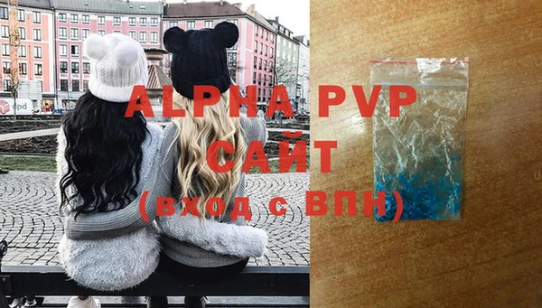 хмурый Аркадак