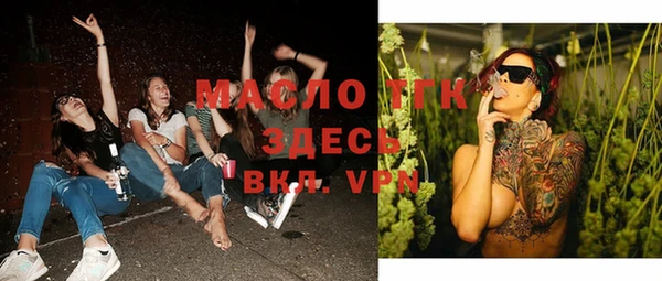 хмурый Аркадак