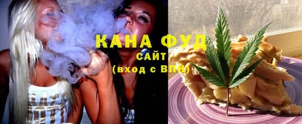 хмурый Аркадак