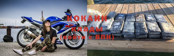 хмурый Аркадак