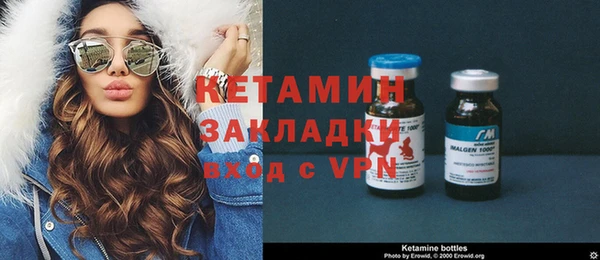 хмурый Аркадак