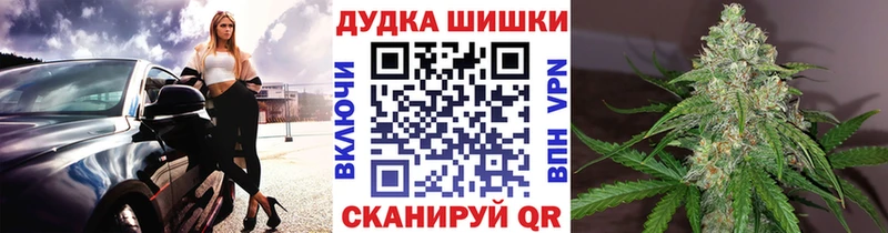 Каннабис план  где купить наркоту  kraken зеркало  Семикаракорск 